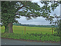 Farmland to the southwest of Northwich