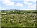 Cavanalee Townland