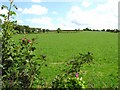 Ballyskeagh Townland