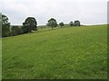 Pasture west of Cowper Cote