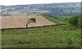 Fields Near Lord Chair Hill