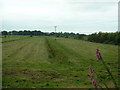 SH5827 : Farmland near Llanbedr by David Medcalf