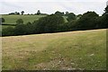 Grass Fields and Valley