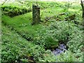 Ruins of Sawmill, Calgary Farm