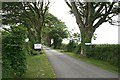 Driveway to a Caravan Site