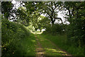 Dunkeswell: above Linden Park