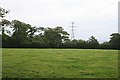 Grass Field and Powerline