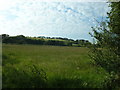 Farmland near Efailnewydd