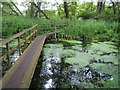 Footbridge over stream