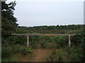 North Warren RSPB Conservation area near B1122