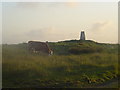 Bull grazing near Trig Point, Tom Sgaire