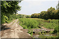 Disused watercress beds, Coombe Bissett