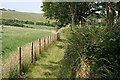 A Well Tended Footpath to Ladock Wood