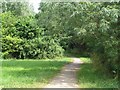 SK4383 : Trans-pennine Trail, Beighton by David Morris