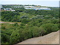 Towards High Carr Business Park from Bradwell Wood