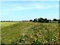 Embankment at Dawker Hill