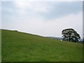 SH8964 : Hills near Llansannan by Dot Potter