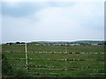 SH9063 : Cornwal fields by Dot Potter