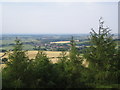 Swainby seen from the viewpoint in Clain Wood