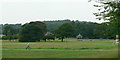 Cricket pitch, Horsforth Hall Park