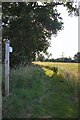 Footpath to Stowehill