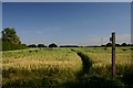 Footpath to Boxted