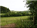 Downland near South Cadbury