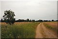 Bridleway to Shimpling Street