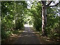 The lane to Island View, Dewsbury