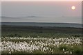 NZ7003 : Cotton Grass and Big view by Colin Grice