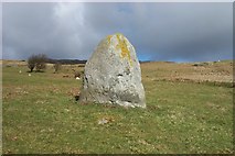 SH7371 : Cae Coch standing stone by Terry Hughes