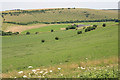 SU0825 : View of Throope Hill from footpath above Faulston by Peter Facey