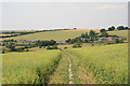 View of Bishopstone from footpath on Faulston Down