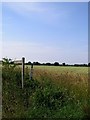 Footpath, near Catfield