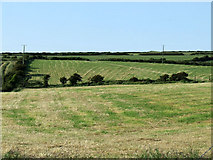 SH3288 : Field next to Bodwyn farm by Nigel Williams