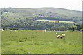 Upton: towards Haddon Hill