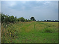 Footpath to Barkston Ash