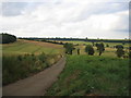 Footpath near Savee Farm