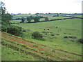 Footpath to Glebe Farm