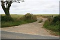 Farm Track Between Wheat Fields