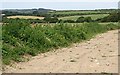 Farm Track and a Shallow Valley