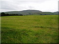 Mountain grassland near Cilcain