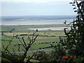 Helsby and Frodsham Marshes from Helsby Hill