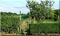 Footpath Alongside Far End Farm