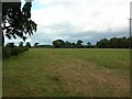 Field next to Dalton Church