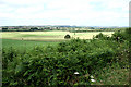 South Tawton: Cocktree Moor