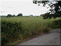 Shropshire Farmland