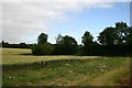 Field at Cocks Green Farm