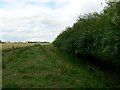 Footpath to Selby via Roscarrs