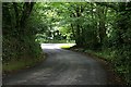 Road Junction near Woodland